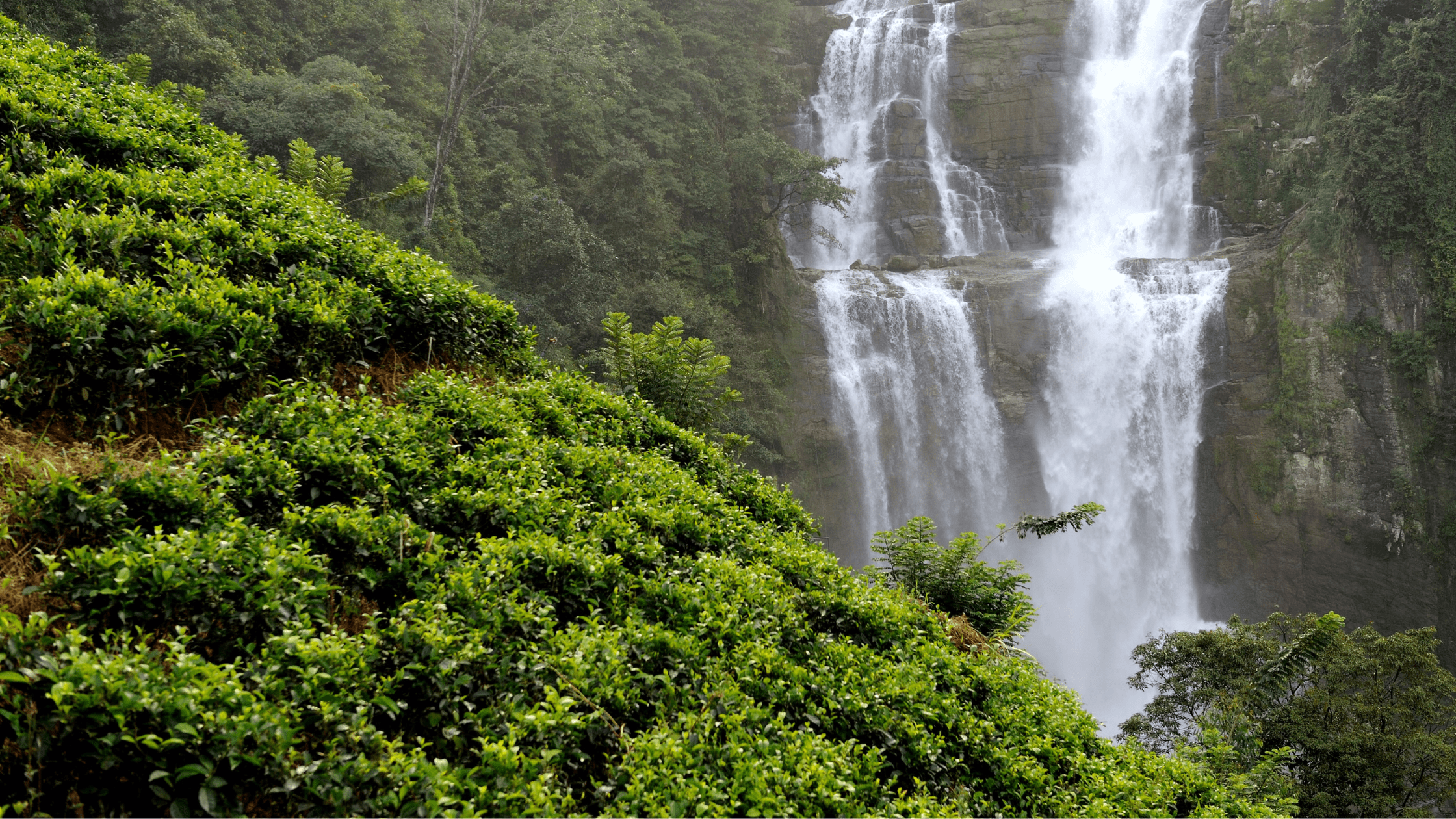 Coorg, Karnataka