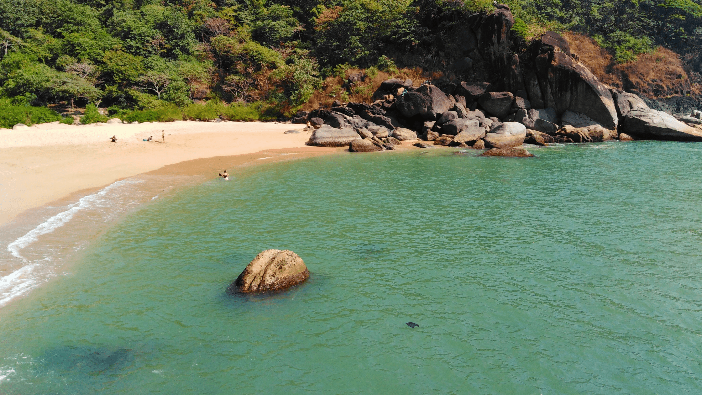 Goa