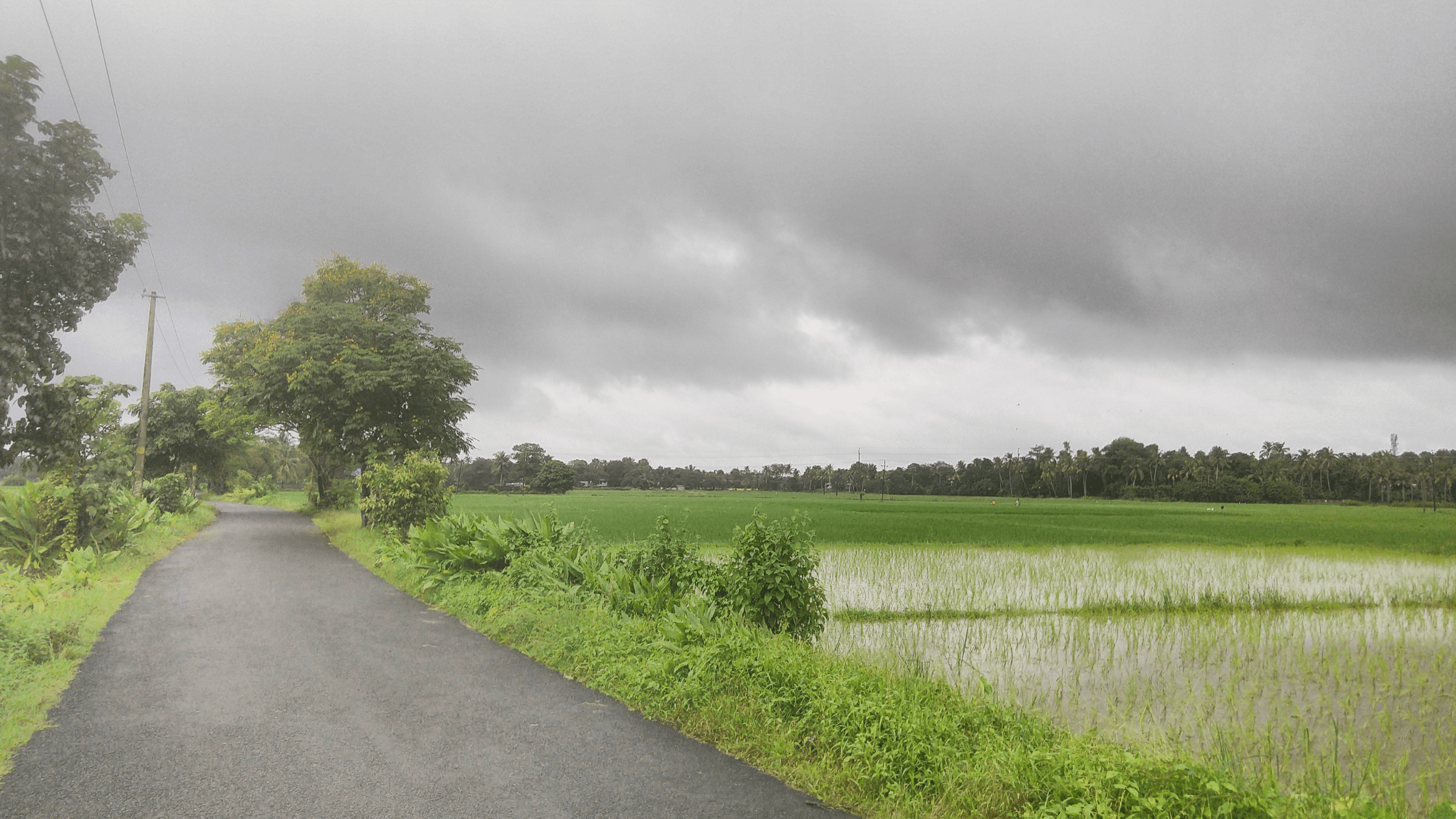 Kodaikanal, Tamil Nadu